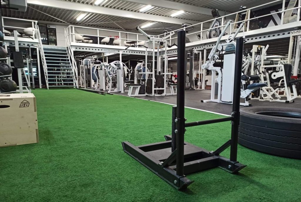 B-Personal - PT -dominance fitness